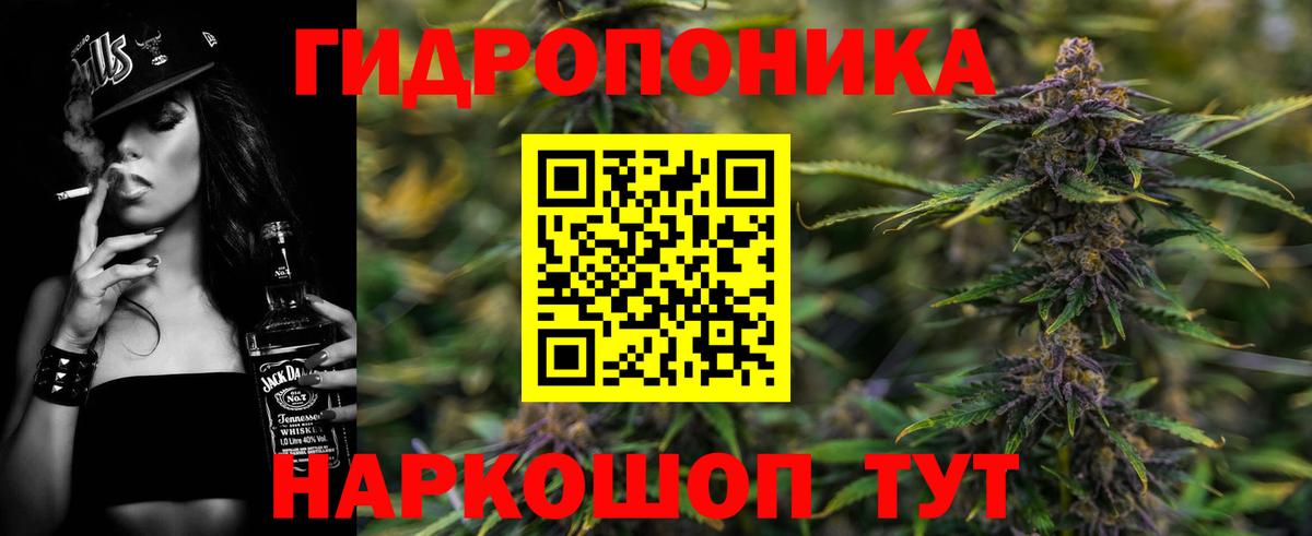 Обь  Шишки марихуана гибрид  Бошки марихуана сатива  Вход с VPN  Каннабис White Widow  Конопля конопля 